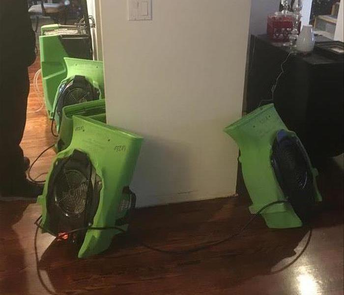 green drying equipment in a home