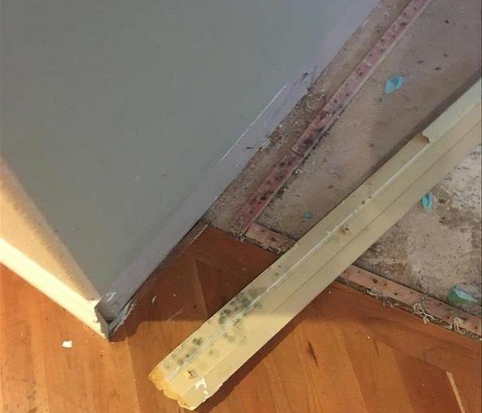 Mold growth on baseboard.