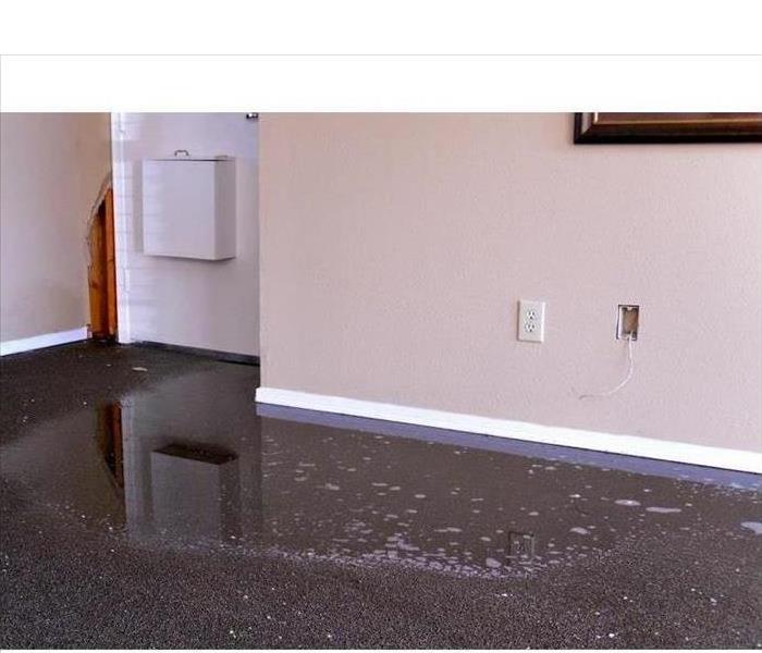 Wet carpet, flooded carpet.